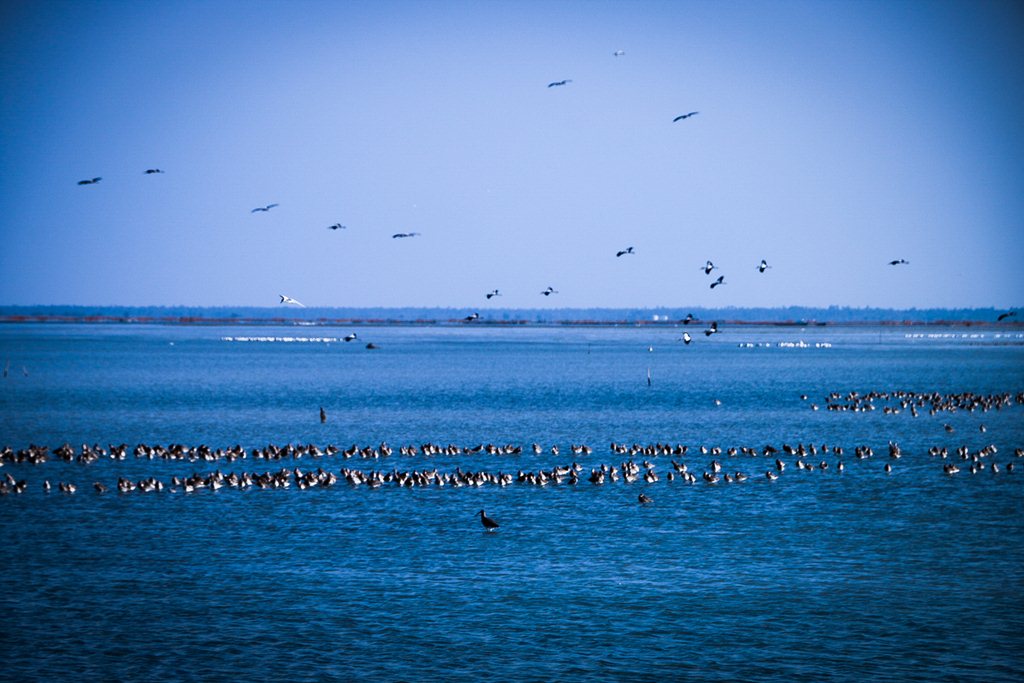 Point PedroTour