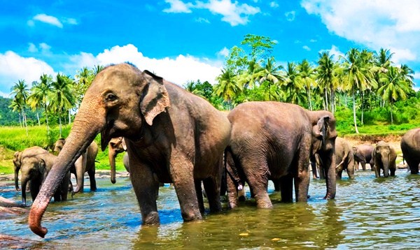 round-tour-sri-lanka